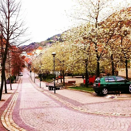 Lejlighed A Cozy Traditional House In Bergen, With A View